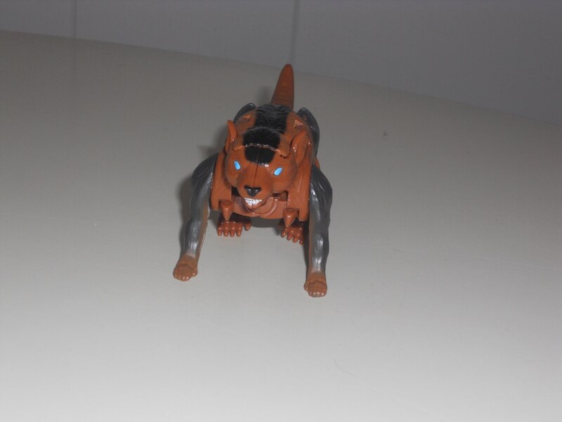 Image Of Core Class Tasmania Kid In Hand From Transformers Legacy United  (19 of 28)